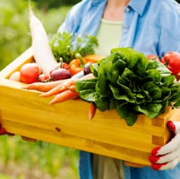 Food Processing Image